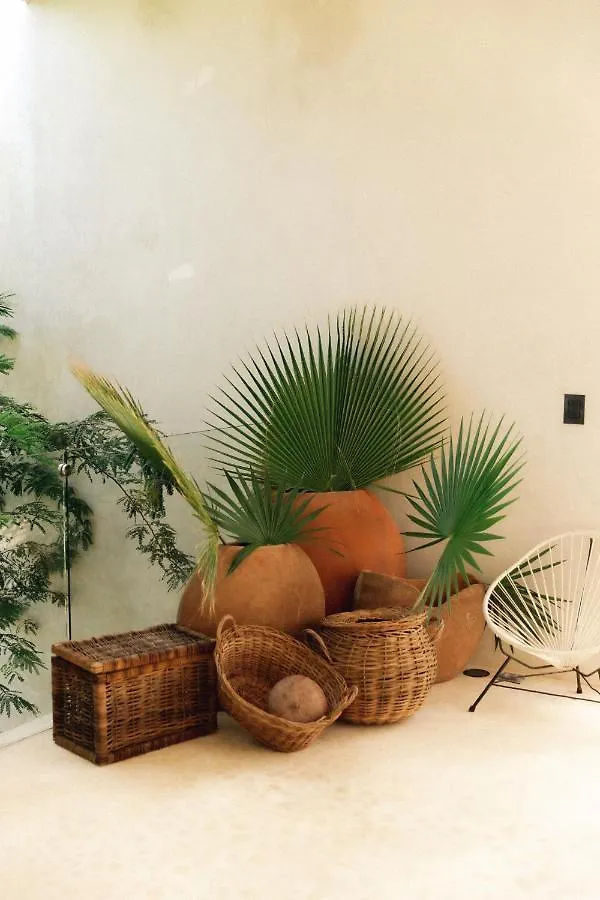 16Tulum Hotel