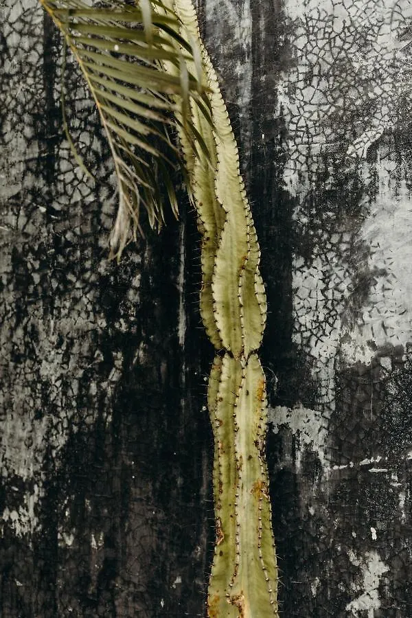 16Tulum Hotel